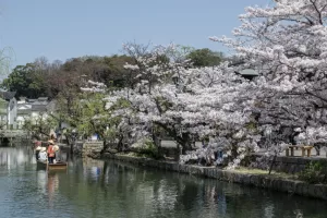 Okayama Japan medis medical imaging japanese cardiovascular society image